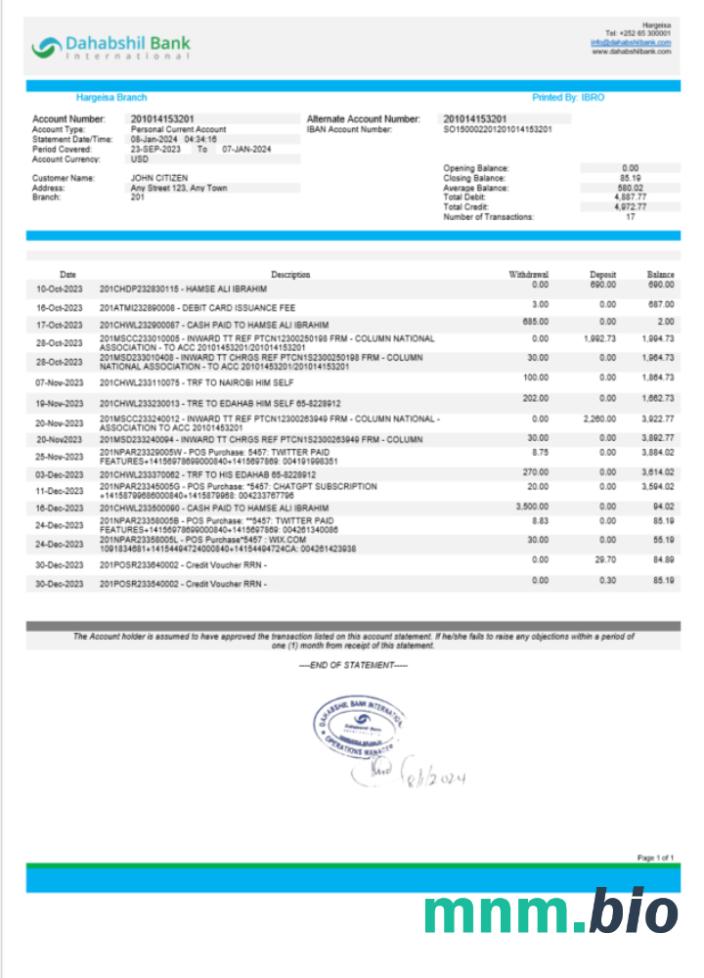 Somalia Dahabshiil Bank International konto statement szablon Worda i PDF